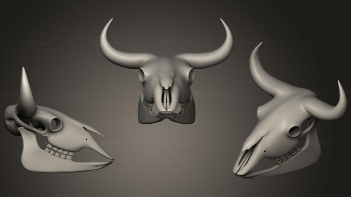 Anatomy of skeletons and skulls (Bison Skull, ANTM_0275) 3D models for cnc